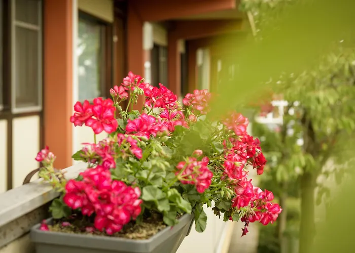 Campanile & Restaurant 's Hertogenbosch 3* 's-Hertogenbosch (Den Bosch)